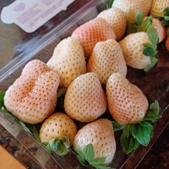 🩷LoveDrunkWhimsy🩷 - Picture 7 of 11